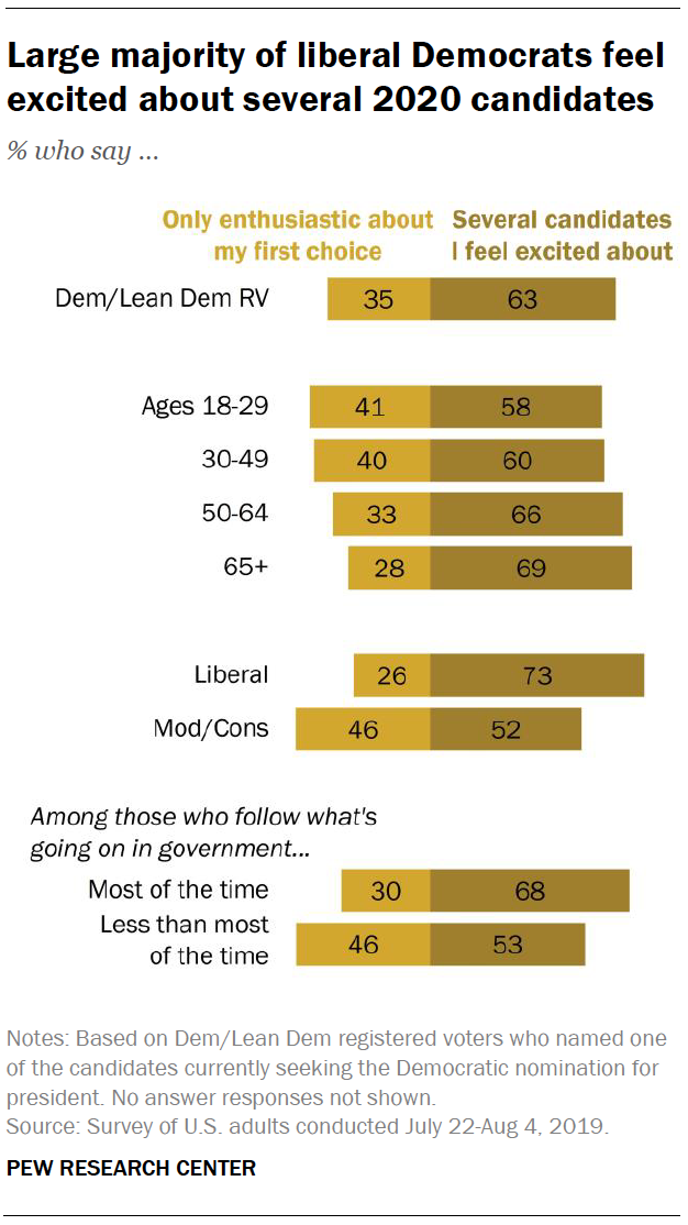Large majority of liberal Democrats feel excited about several 2020 candidates